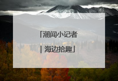 潮闻小记者｜海边拾趣